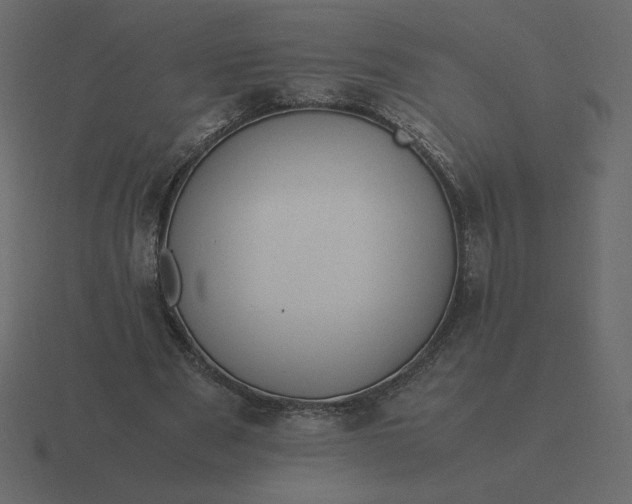 X0000116580489200912241657