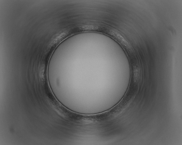 X0000116580490200912241657