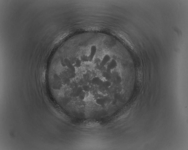 X0000116580491200912241657