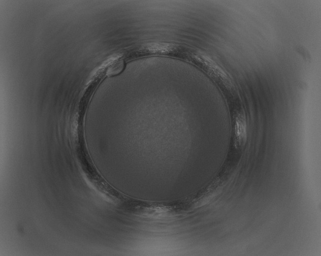 X0000116580492200912241657