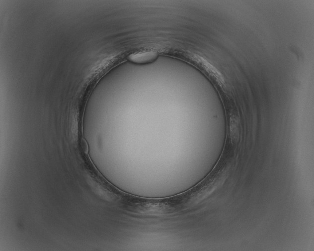 X0000116580493200912241657