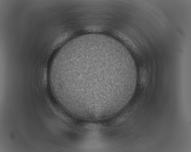 X0000116580494200912241657