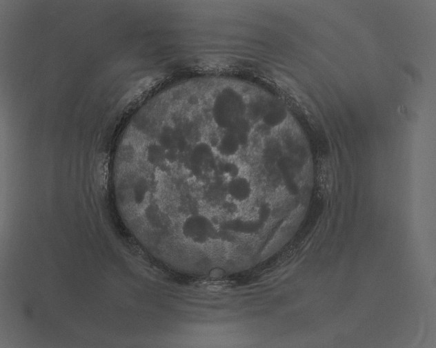 X0000116580495200912241657