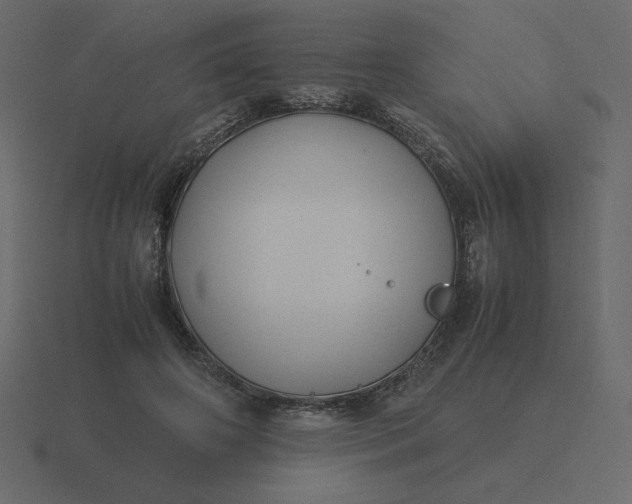 X0000116580498200912241657