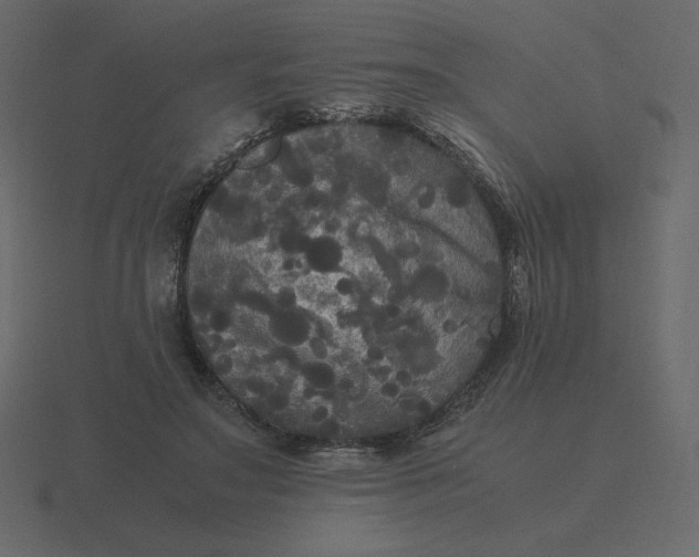 X0000116580499200912241657