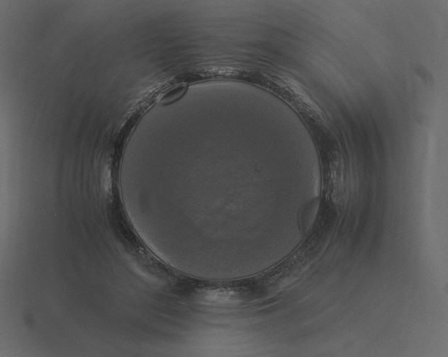 X0000116580500200912241657