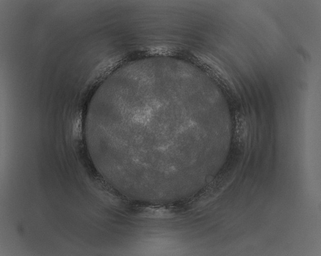 X0000116580502200912241657