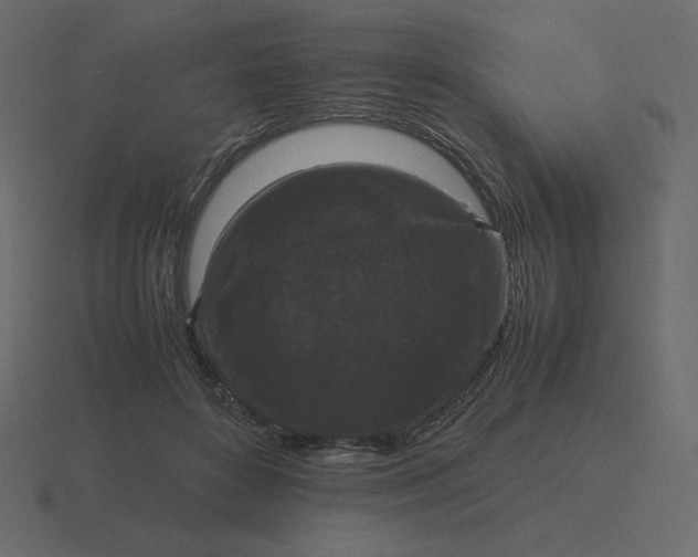 X0000116580504200912241657