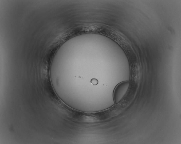 X0000116580510200912241657