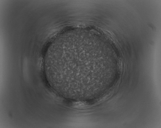 X0000116580511200912241657