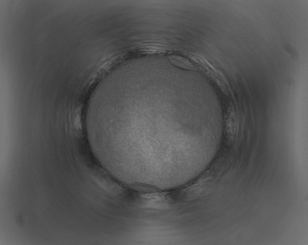 X0000116580516200912241657