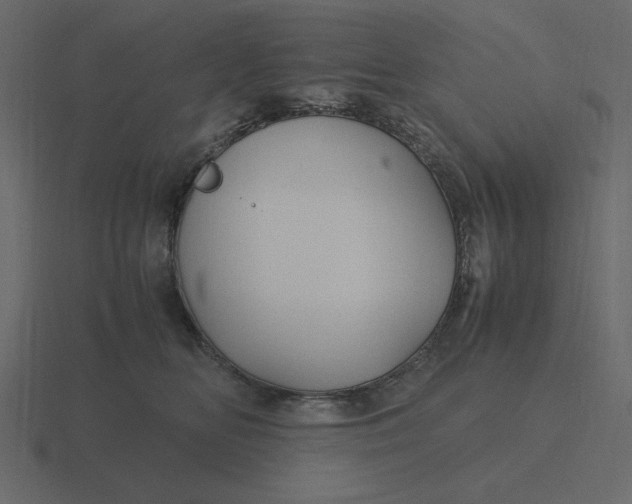 X0000116580518200912241656