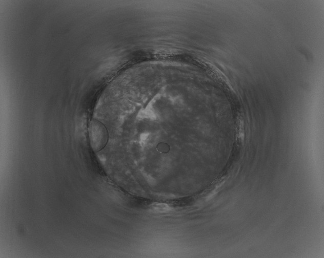 X0000116580519200912241656