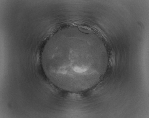 X0000116580520200912241656