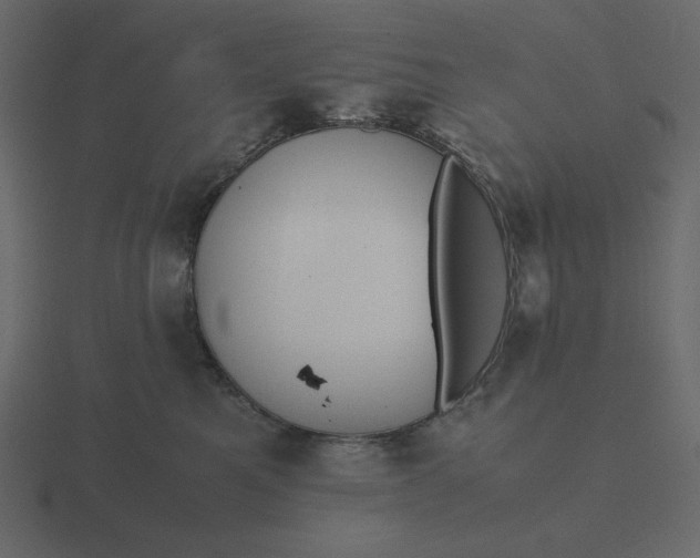 X0000116580521200912241656