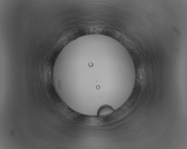 X0000116580522200912241656