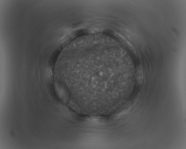 X0000116580523200912241656