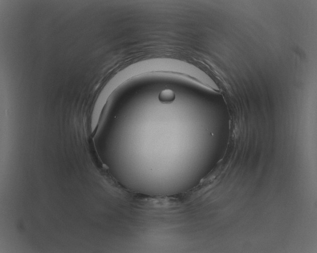 X0000116580524200912241656