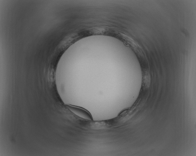 X0000116580525200912241656