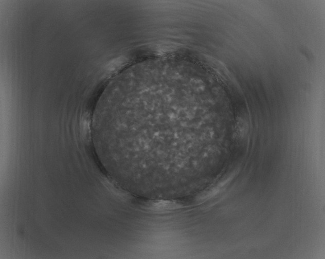 X0000116580527200912241656