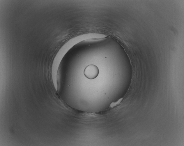 X0000116580528200912241656