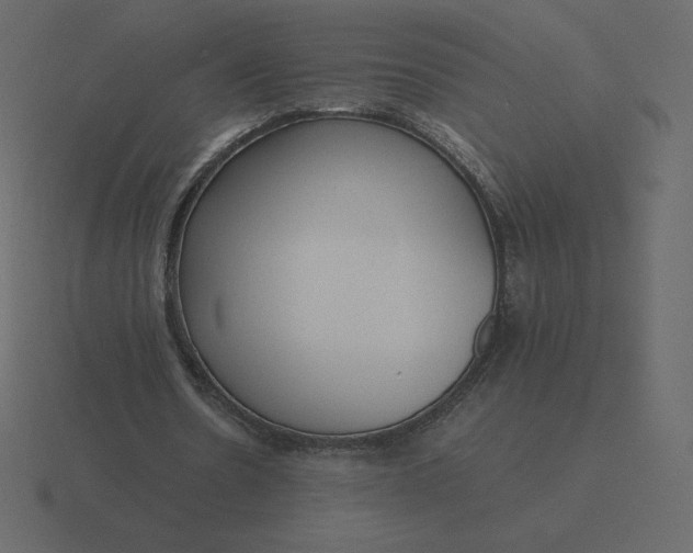 X0000116580530200912241656