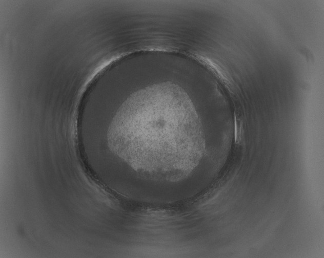 X0000116580531200912241656