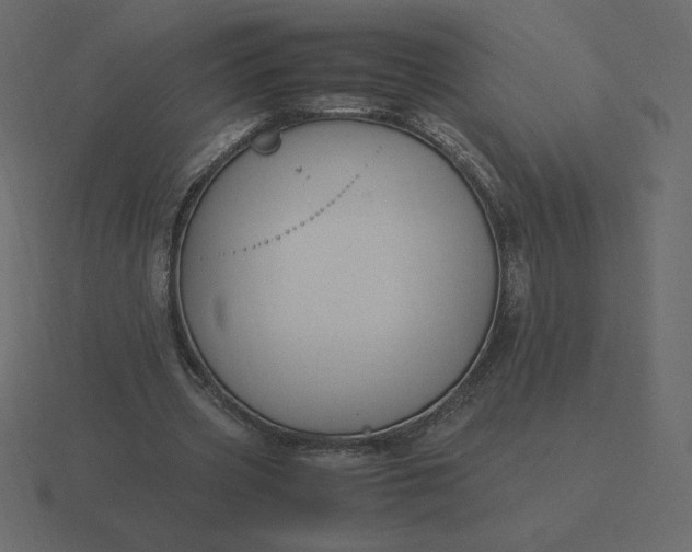 X0000116580533200912241656