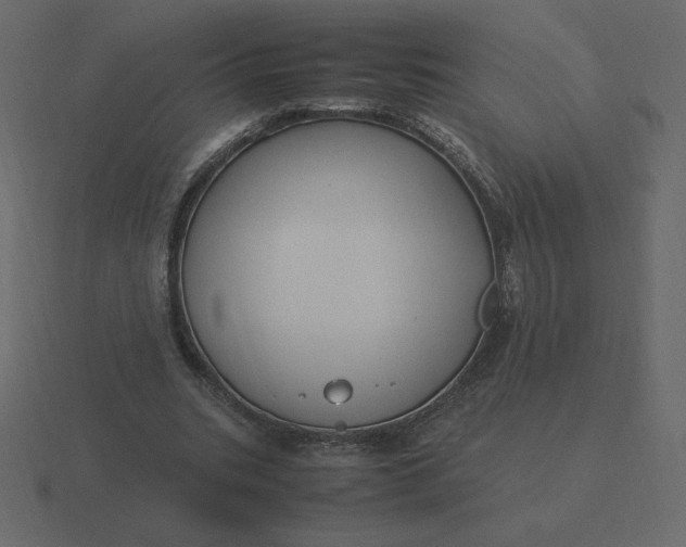 X0000116580535200912241656