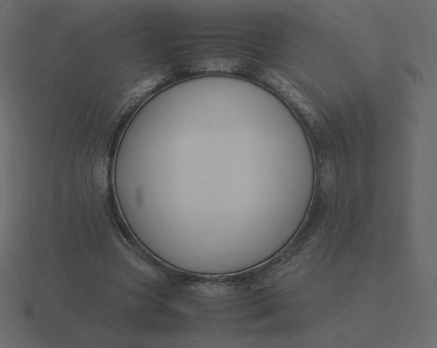 X0000116580537200912241656