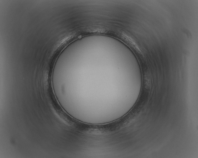 X0000116580538200912241656