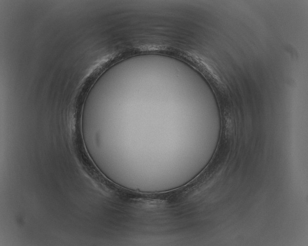 X0000116580539200912241656