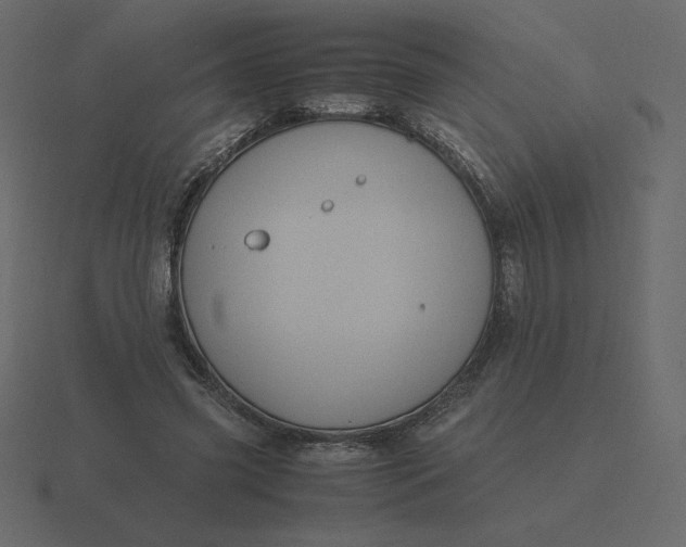 X0000116580541200912241656