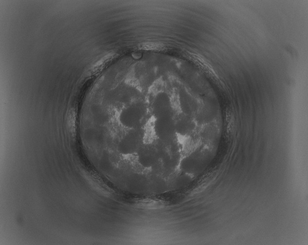 X0000116580542200912241656