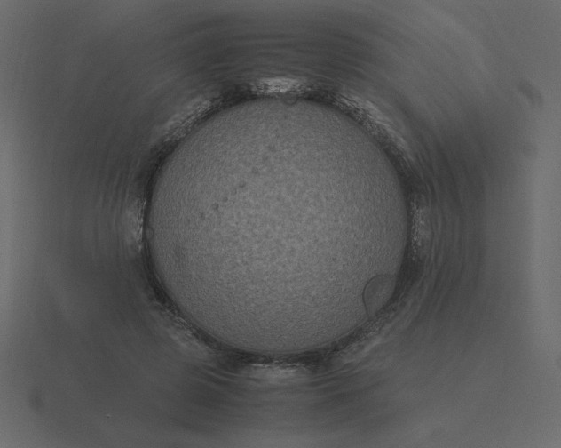 X0000116580545200912241656