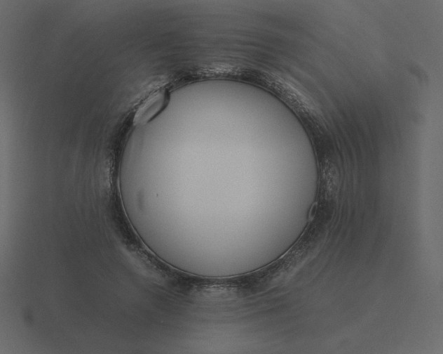 X0000116580546200912241656