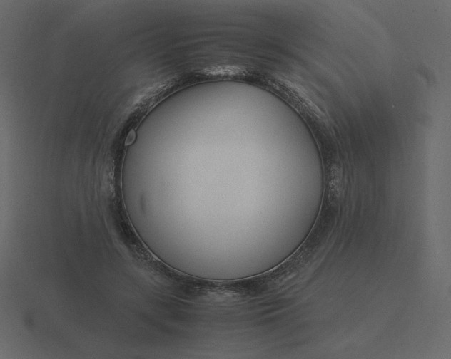 X0000116580547200912241656