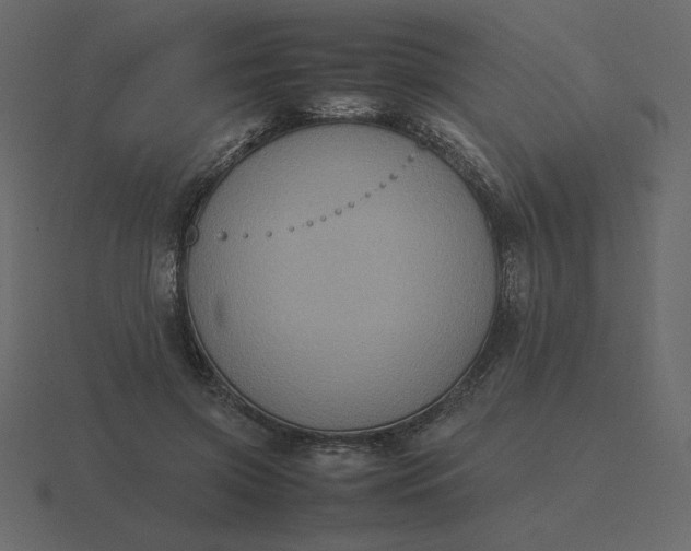 X0000116580549200912241656