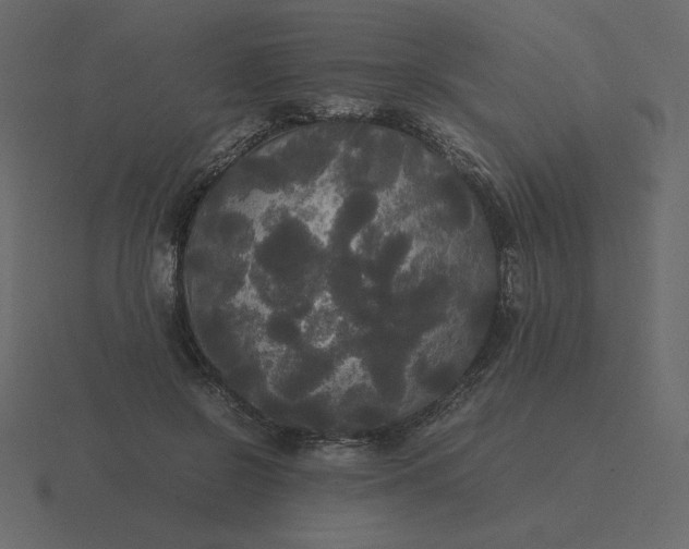 X0000116580550200912241656