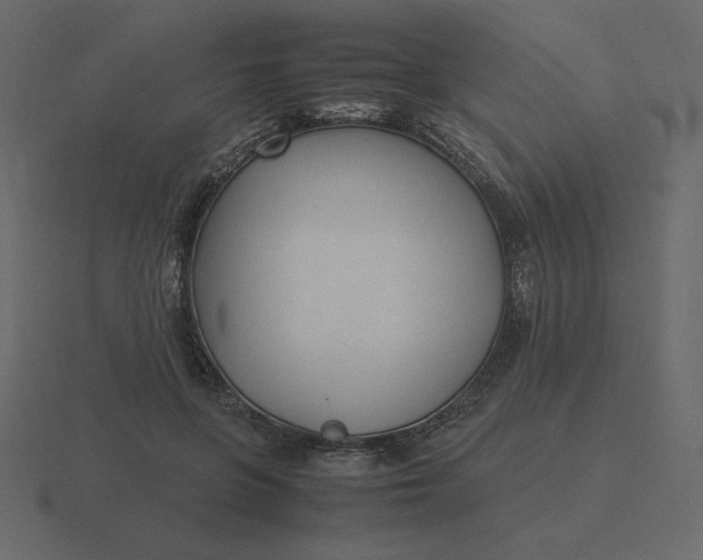 X0000116580551200912241656