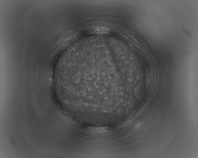 X0000116580553200912241656