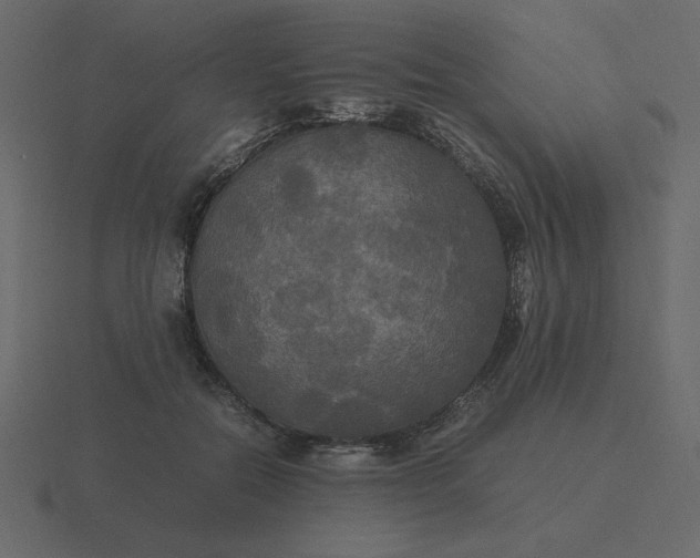 X0000116580554200912241656