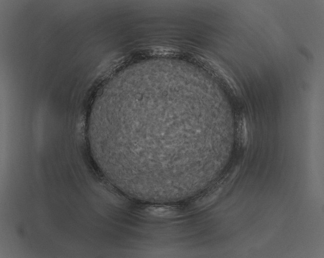 X0000116580557200912241656