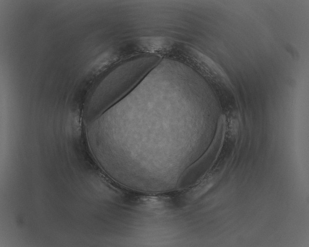 X0000116580558200912241656