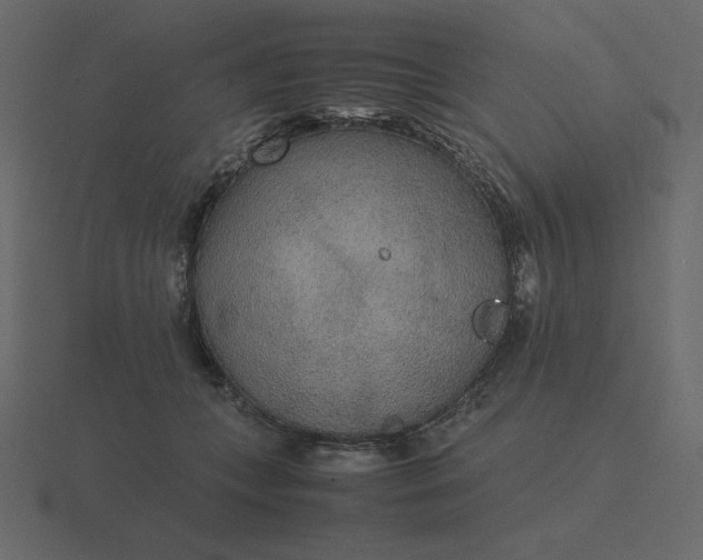 X0000116580559200912241656