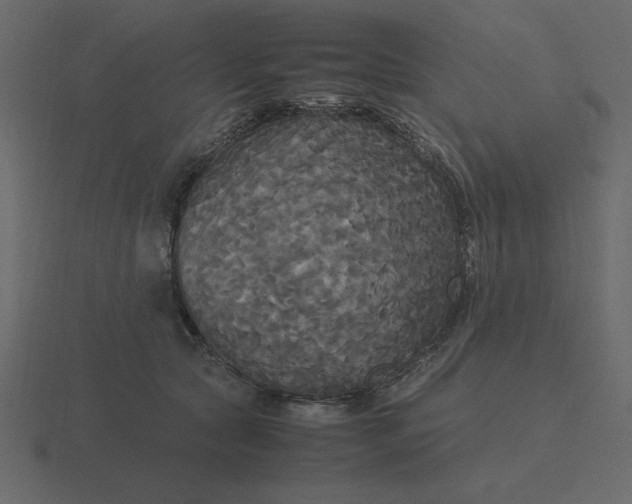 X0000116580561200912241656