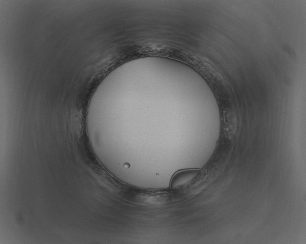 X0000116580563200912241656