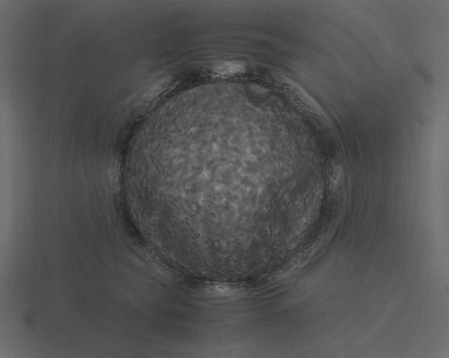 X0000116580565200912241656