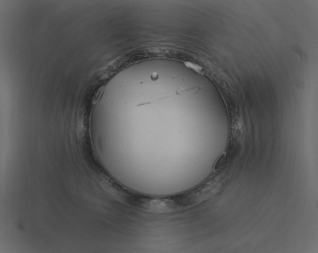 X0000116580566200912241656