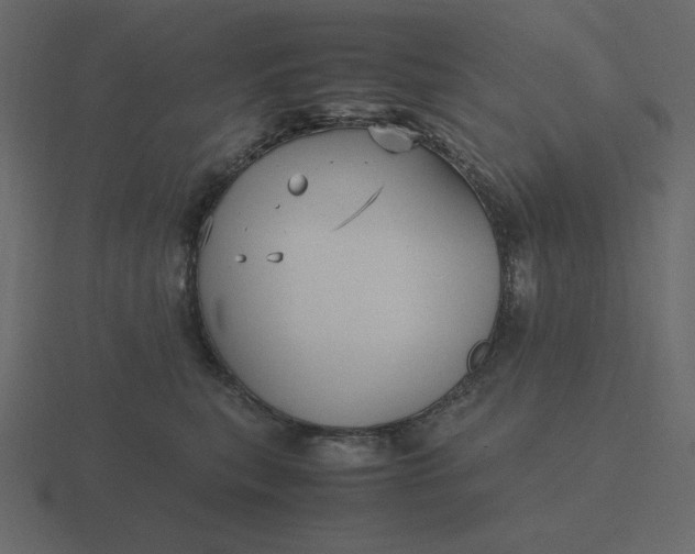 X0000116580567200912241656